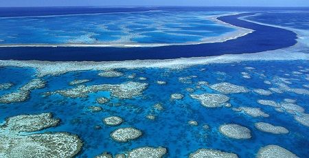 E382B0E383ACE383BCE38388E38390E383AAE382A2E383AAE383BCE383952