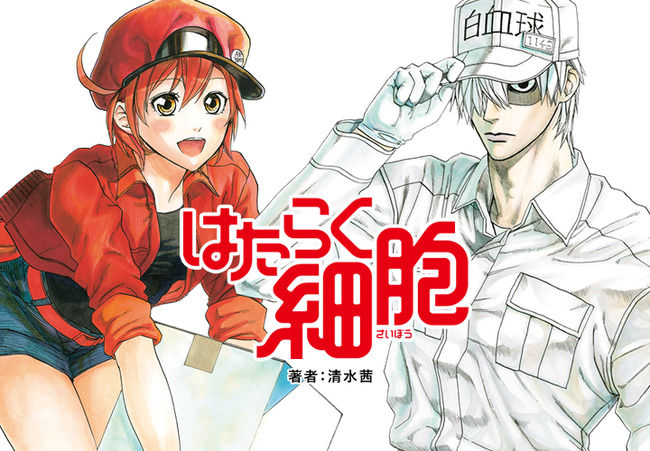 28df5d54.jpg