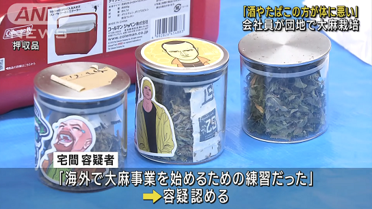 大麻　栽培　町田市に関連した画像-01