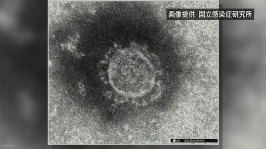 新型コロナウイルス 下水 富山県立大 金沢大に関連した画像-01