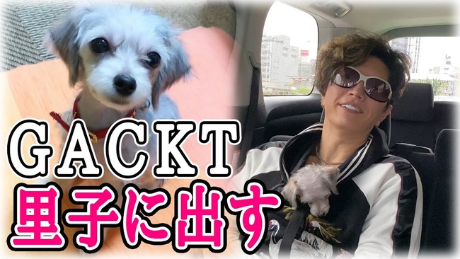 Gacktさん ペットロスの知人に自分の愛犬を譲り物議に Gacktさんの優しさが伝わった 犬にも心はある モノ扱いするな オレ的ゲーム速報 刃 Gacktさん ペットロスの知人に自分の愛犬を譲り物議に Gacktさんの優しさが伝わった 犬にも心はある モノ扱いするな オレ的ゲーム速報 刃
