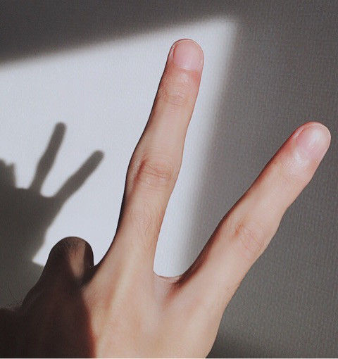 �Ž������̥饤�����������̥饤���������ꡡ��δǷ���֥����������˴�Ϣ��������-03