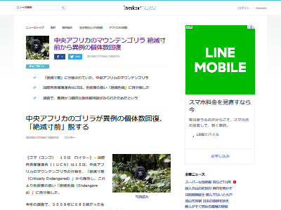 ゴリラ 個体数回復 絶滅危機に関連した画像-02