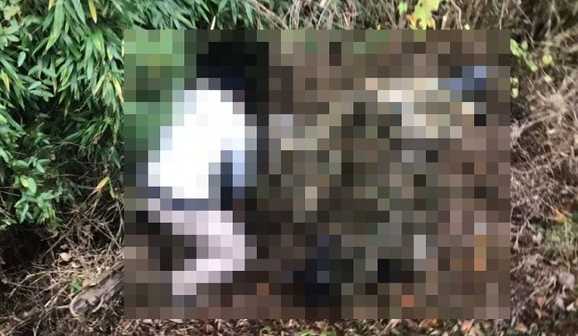 鉄道　イベント　鉄オタ　乗り鉄　撮り鉄　迷彩服　線路　不法侵入に関連した画像-01