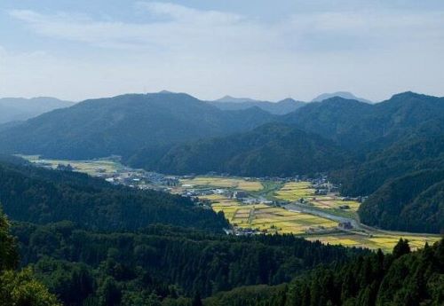 田舎　都会　山　本物　東京に関連した画像-01