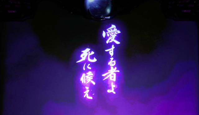 新型コロナウイルス バジリスク オミクロン株 変異株 和歌山県に関連した画像-01