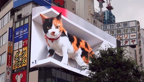 新宿 3Dビジョン デジタルサイネージ 電子看板 巨大猫に関連した画像-01