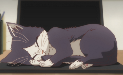 天皇家　加藤一二三　猫　犬　最高位　勝ち誇った　前世　上級猫民　に関連した画像-01