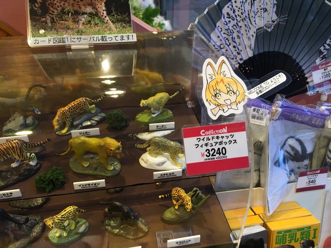 けものフレンズ 多摩動物公園 オタクに関連した画像-03