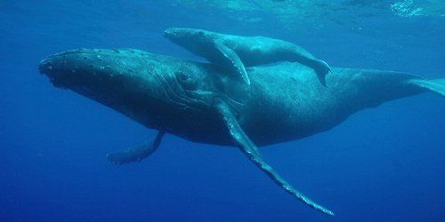 img_632694_19681187_0