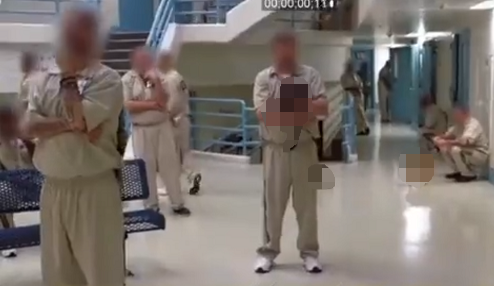 ワシントン 刑務所 模範囚 更生 猫に関連した画像-01