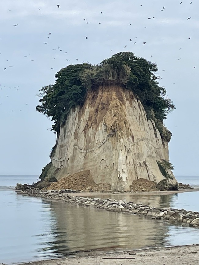 �����ǽ�С������硡�����硡����ܥ롡����6�����Ͽ̡����������˴�Ϣ��������-03