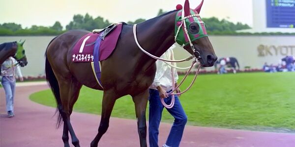 ナイスネイチャ 競走馬 競馬 死去 訃報 馬に関連した画像-01