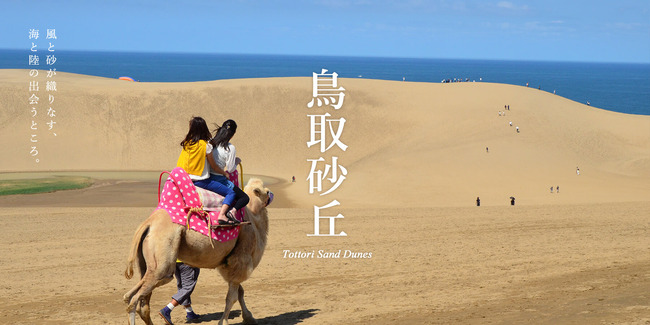 新型コロナ 鳥取 島根 医療体制 貧弱に関連した画像-01