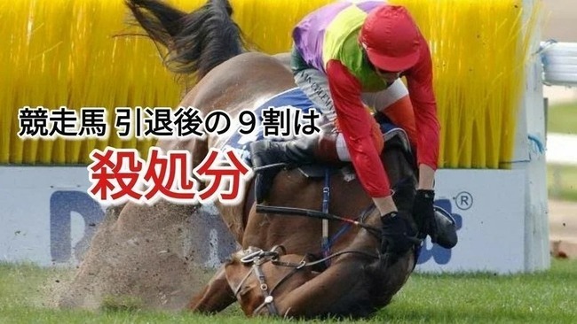 競馬　動物虐待　殺処分に関連した画像-01