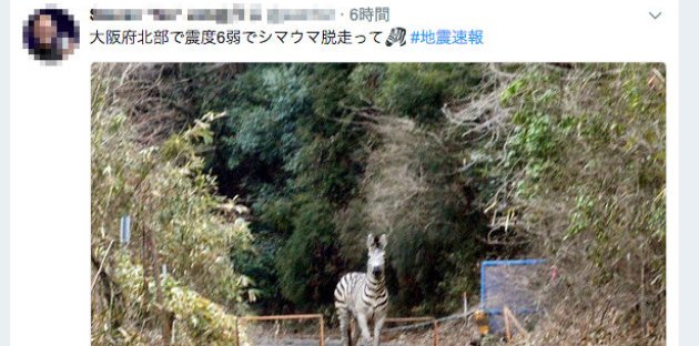 大阪 地震 SNS デマ 差別に関連した画像-01