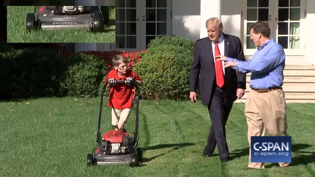 ����ꥫ���ۥ磻�ȥϥ������Ǵ��ꡡ��ǯ���ȥ��������Τ˴�Ϣ��������-04