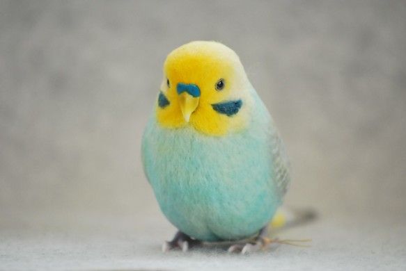 ペットのインコにとんでもない虐待を加え 動画投稿した男の末路 オレ的ゲーム速報 刃 ペットのインコにとんでもない虐待を加え 動画投稿した男の末路 オレ的ゲーム速報 刃