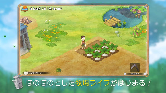 �Ҿ�ʪ�졡�ɥ館��󡡥˥�ƥ�ɡ������å��˴�Ϣ��������-06