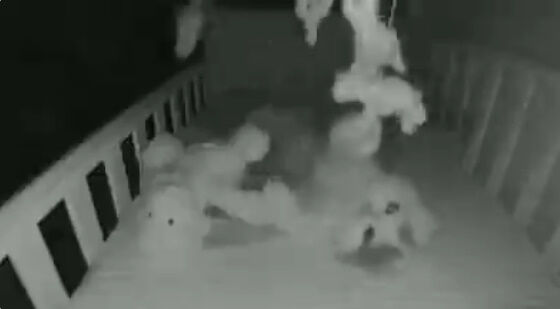 �Ҷ��������֤���󡡥٥ӡ���˥������������á����Ρ�ǭ�˴�Ϣ��������-02