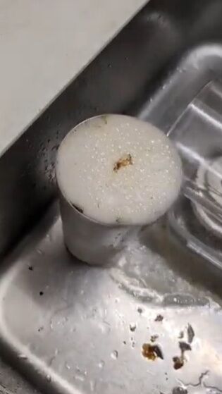 �����ҡ� 1��3�� ����֥顼 ��ú���ʥȥꥦ�� �����˴�Ϣ��������-04