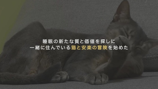 法政大学 猫 一緒 睡眠 身体 心理 影響 研究 検証 幸福度に関連した画像-01