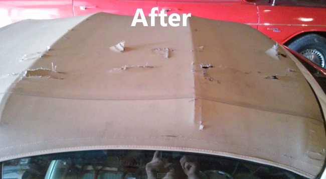 運転 ハイスピード クルマ 気絶に関連した画像-14