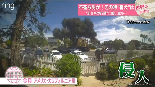 不法侵入　アメリカ　カリフォルニア州　ゴールデンレトリバー　番犬　に関連した画像-01