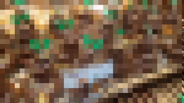 クリスマスツリー ホイップ うんこに関連した画像-01