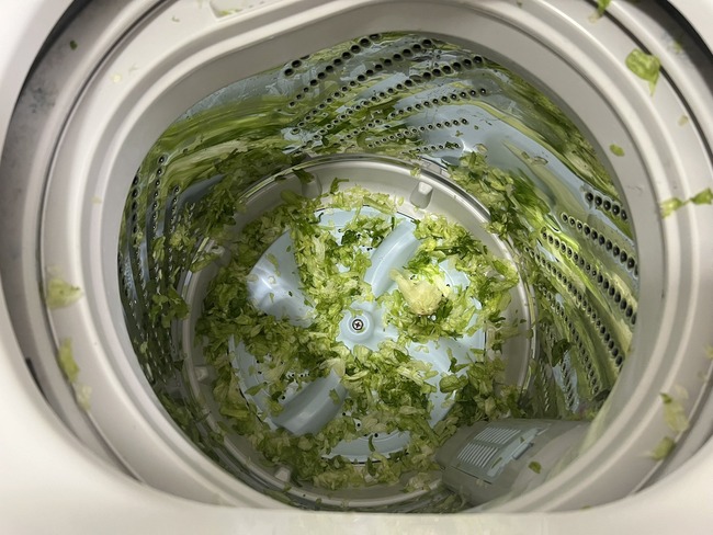 女子 レタス 洗濯機 洗濯 大惨事に関連した画像-03