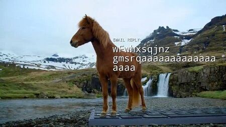 馬　メール　返信　旅行　アイスランド　に関連した画像-01