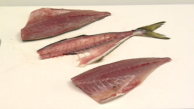 微閲覧注意 3枚におろされた魚がめちゃめちゃ元気に動いてるんだが どうなってんのこれ オレ的ゲーム速報 刃 微閲覧注意 3枚におろされた魚がめちゃめちゃ元気に動いてるんだが どうなってんのこれ オレ的ゲーム速報 刃
