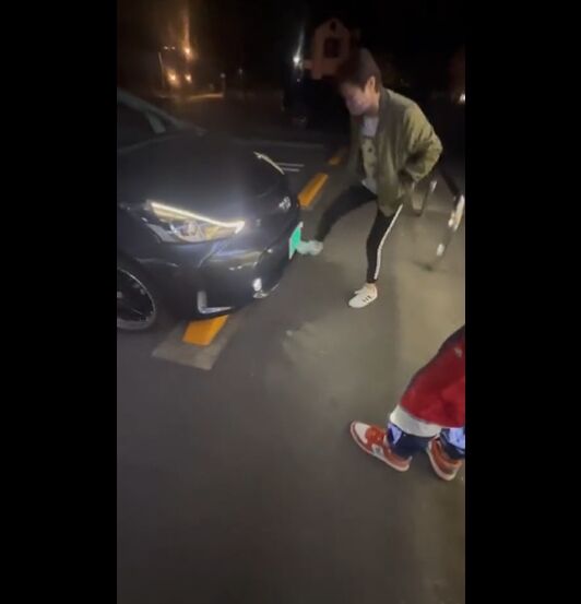動画 ナンバー 7777 の車を見つけたおばさん ヤバイことをしてしまう オレ的ゲーム速報 刃