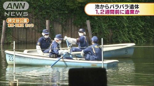 バラバラに関連した画像-01