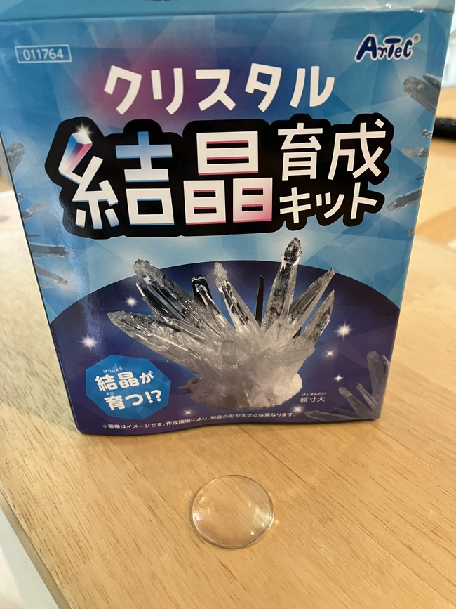 �Ҷ� ��ͳ���� ���ꥹ���� ���� ���� ���󥿥��ȥ�󥺤˴�Ϣ��������-02