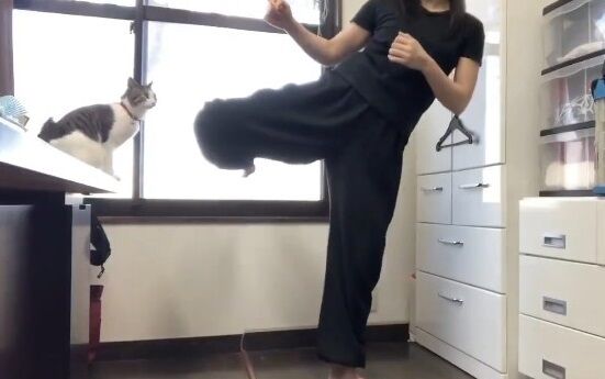 女性舞台役者が蹴りを動画で解説 途中で猫が乱入してきた結果wwwwww オレ的ゲーム速報 刃 女性舞台役者が蹴りを動画で解説 途中で猫が乱入してきた結果wwwwww オレ的ゲーム速報 刃