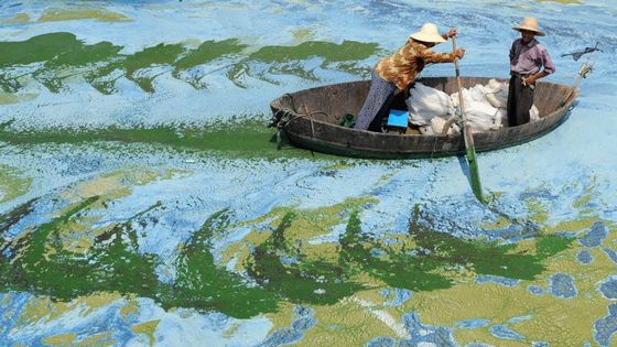 自殺 川が臭すぎて断念に関連した画像-03