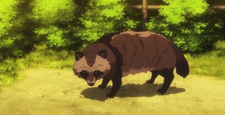 小熊 クマ 親熊 囮 タヌキに関連した画像-01