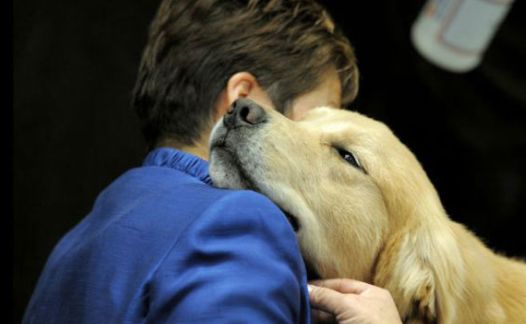 動物 ペット ストレス 軽減に関連した画像-01