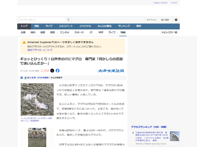 川 大分県 マグロ 淡水 捕獲 解体 食事に関連した画像-02