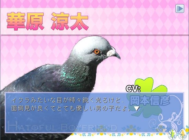 110811hato01