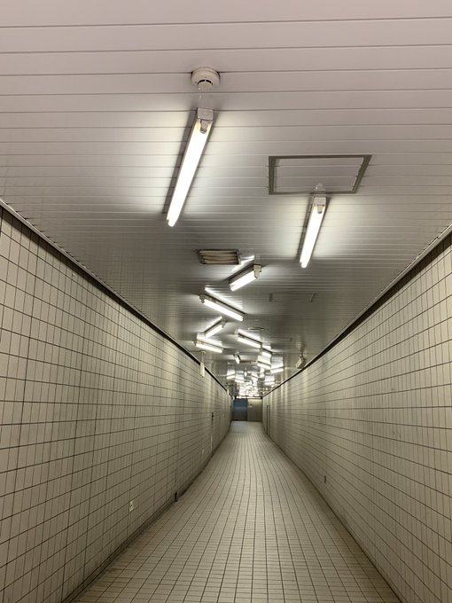 8番出口 清澄白河駅に関連した画像-03
