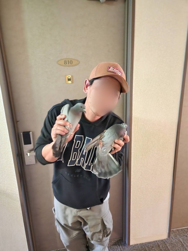 小倉 ホテル 研修 チェックイン 部屋 鳩に関連した画像-02