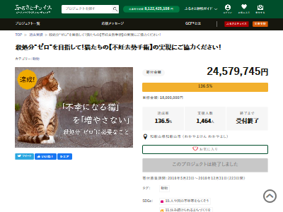 和歌山市　猫　動物愛護　クラウドファンディング　不正に関連した画像-01