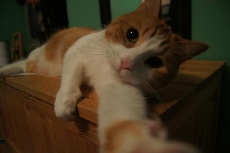 ������˴�Ϣ��������-01