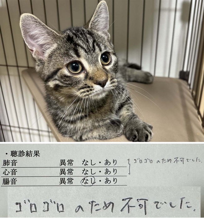 X̱ �ð� ǭ �ǻ� �� ���� �������� ˸���˴�Ϣ��������-02