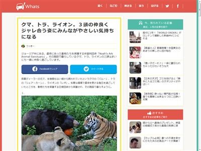 �ȥ顡���ޡ��ۥ�˴�Ϣ��������-02