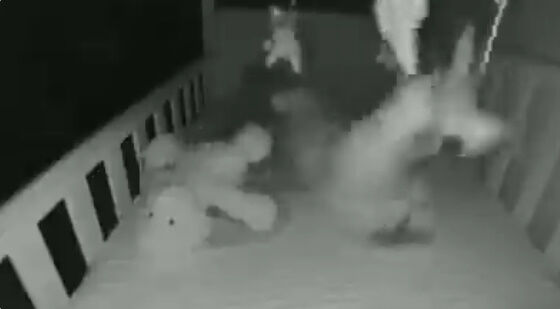 �Ҷ��������֤���󡡥٥ӡ���˥������������á����Ρ�ǭ�˴�Ϣ��������-02