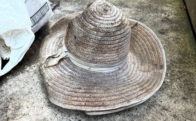 麦わら帽子　外　放置　ハチの巣に関連した画像-01