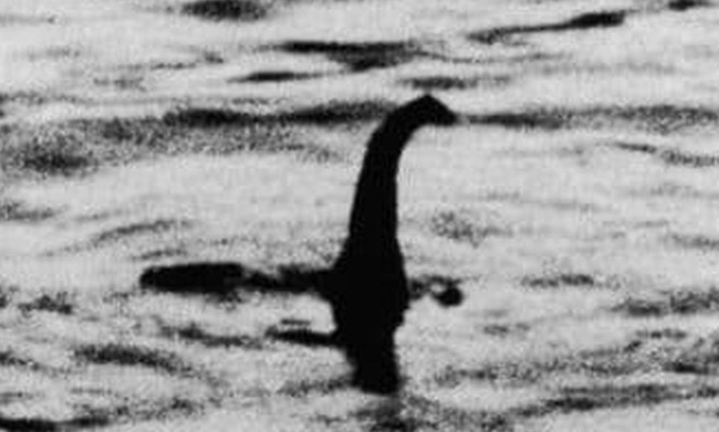 ネッシー 正体 巨大ウナギに関連した画像-01